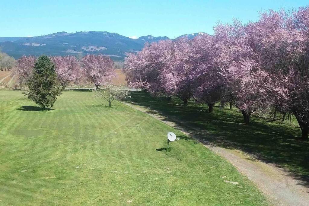 Riverfront Getaway On The Wild And Scenic *